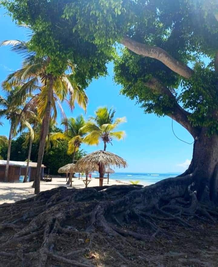 Le Ti'Paradise Anse Des Rochers Belle-Allée Exterior foto